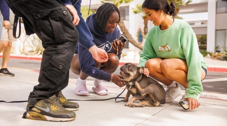 Students play with a dog outside Mead Hall